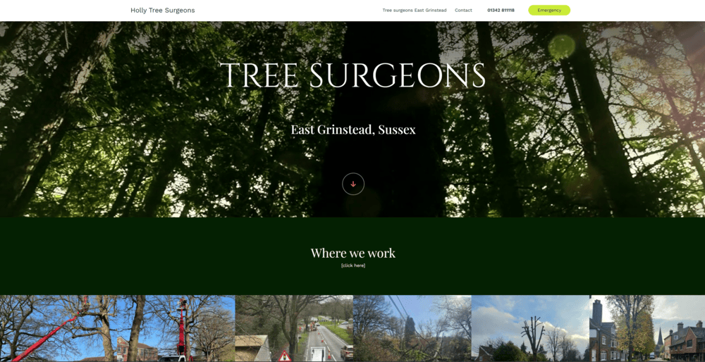 holly-tree-surgeons-1
